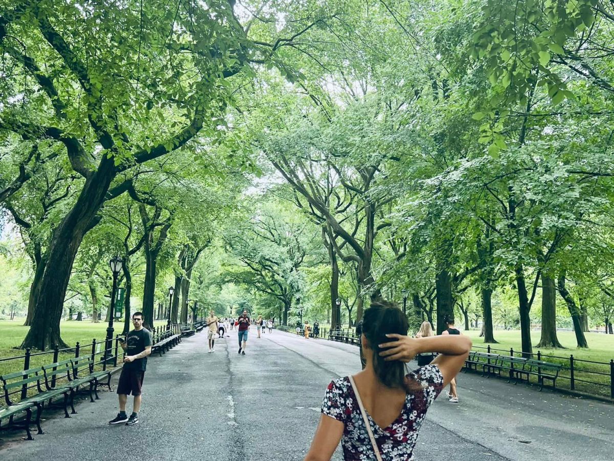 A Summer to&nbsp;Remember